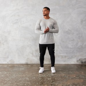 Vanquish Fitness Essential Grey Slim Fit Long Sleeve T Shirt Hellgrau | DVUBQL542