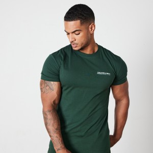 Vanquish Fitness Green Athletics Division Fitted T Shirt Grün | ZTQKFY910
