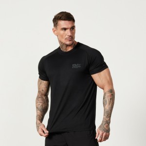 Vanquish Fitness Utility Black T Shirt Schwarz | RGLHNT352