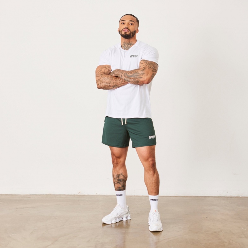 Vanquish Fitness BTY White Slim Fit Raglan T Shirt Weiß | MXESKV386