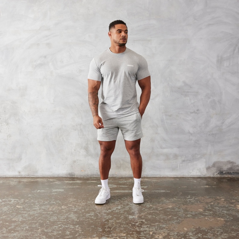 Vanquish Fitness Essential Grey Slim Fit Kurzes Sleeve T Shirt Hellgrau | FXZTBL954