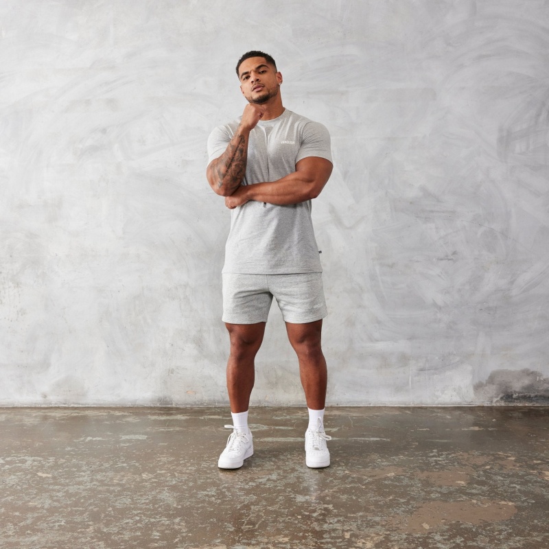 Vanquish Fitness Essential Grey Slim Fit Kurzes Sleeve T Shirt Hellgrau | FXZTBL954