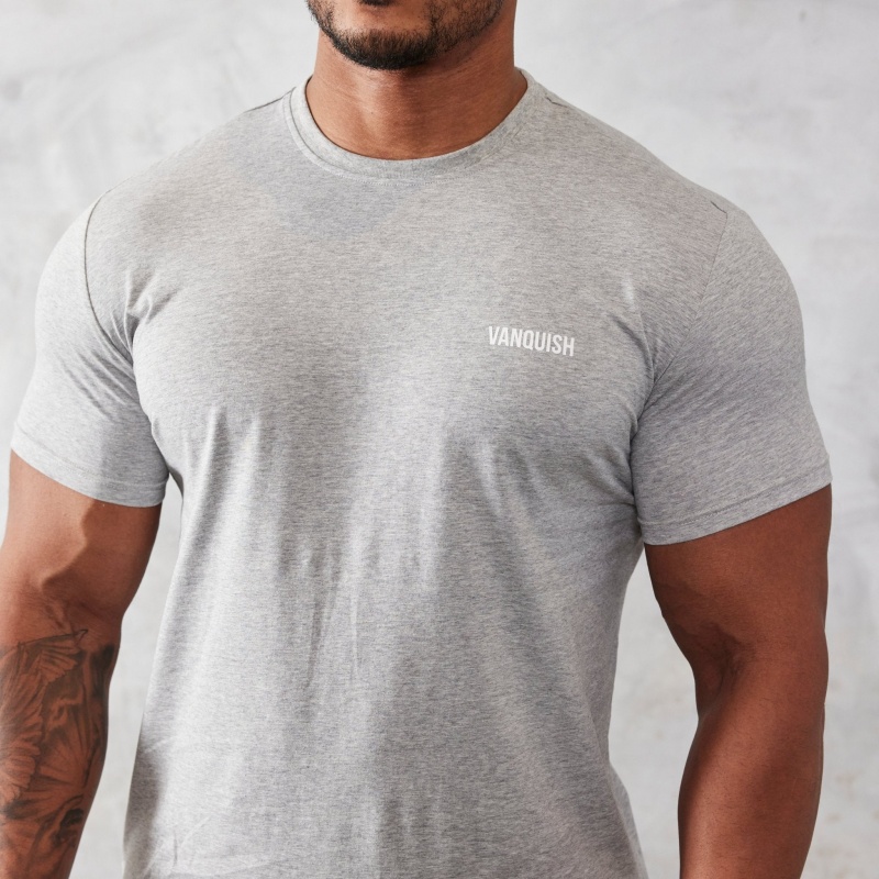 Vanquish Fitness Essential Grey Slim Fit Kurzes Sleeve T Shirt Hellgrau | FXZTBL954