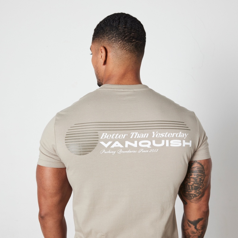 Vanquish Fitness Stone Athletics Division Fitted T Shirt Stone | HYDOTJ832