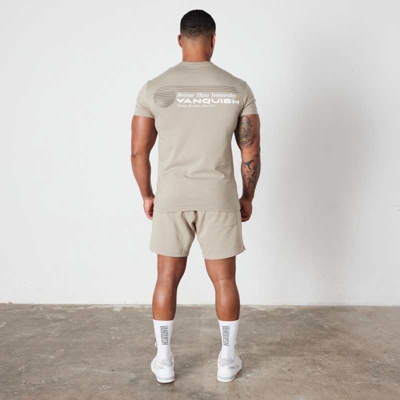Vanquish Fitness Stone Athletics Division Fitted T Shirt Stone | HYDOTJ832