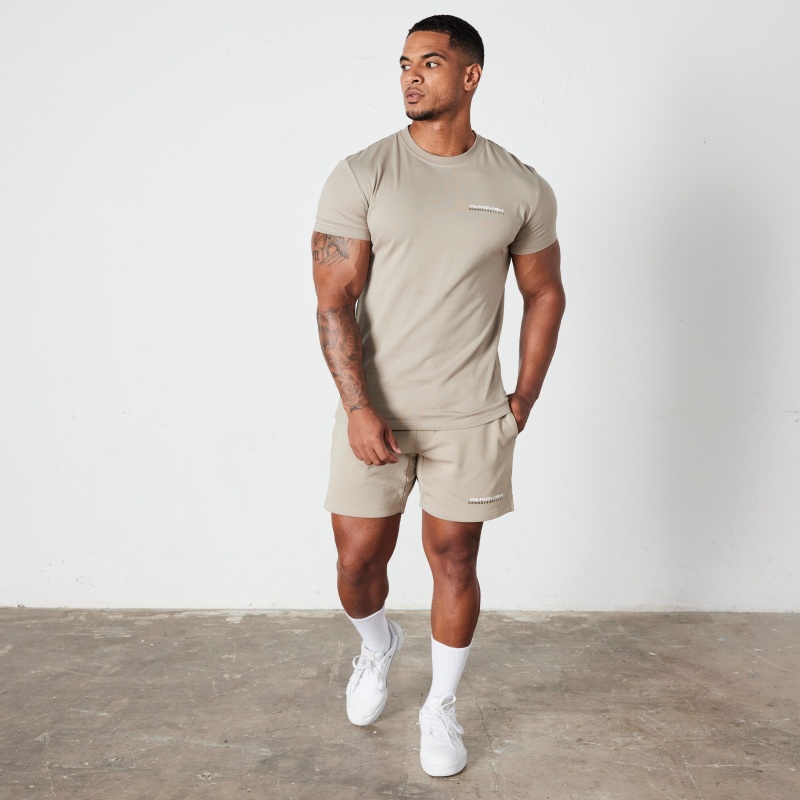 Vanquish Fitness Stone Athletics Division Fitted T Shirt Stone | HYDOTJ832