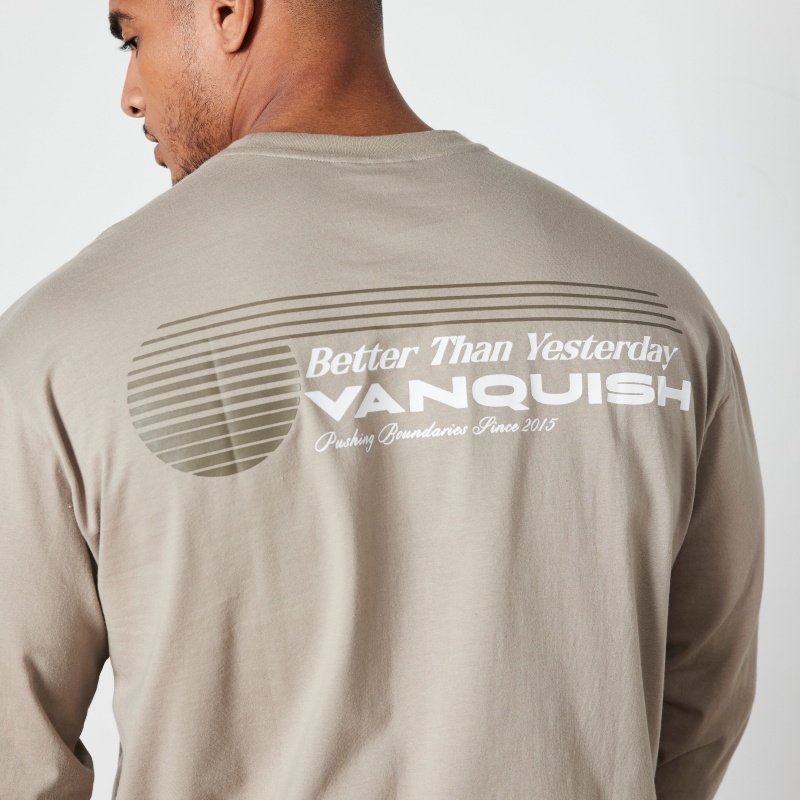 Vanquish Fitness Stone Athletics Division Oversized Long Sleeve T Shirt Stone | DQJAST467