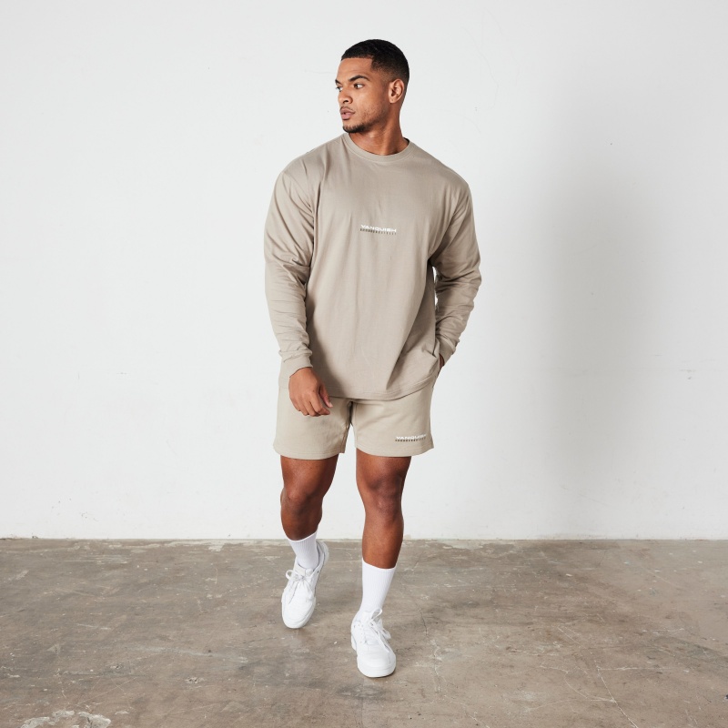 Vanquish Fitness Stone Athletics Division Oversized Long Sleeve T Shirt Stone | DQJAST467
