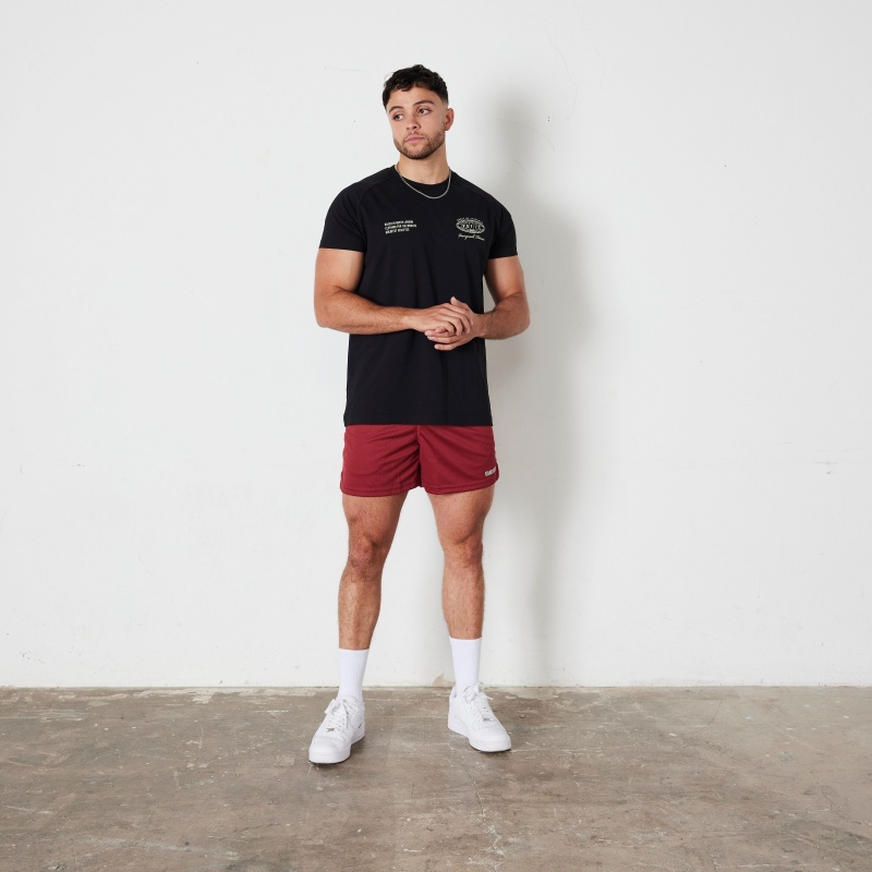 Vanquish Fitness TSP Black Worldwide Fitted T Shirt Schwarz | KICRZG851