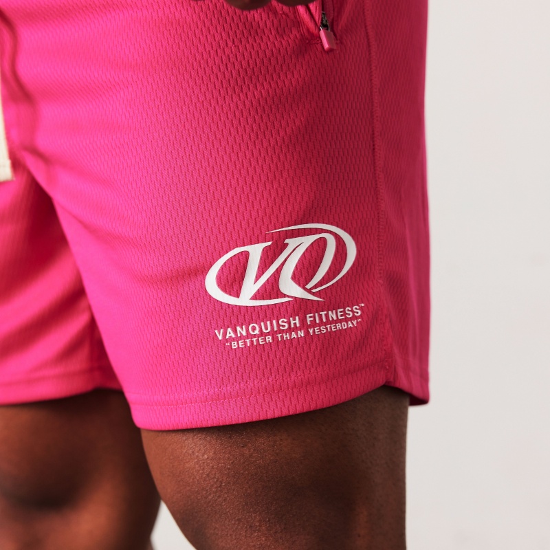 Vanquish Fitness TSP Hot Pink Rennfahrer Mesh Shorts Rosa | NBRLAG852