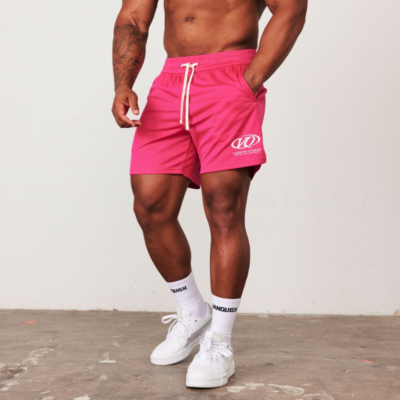 Vanquish Fitness TSP Hot Pink Rennfahrer Mesh Shorts Rosa | NBRLAG852